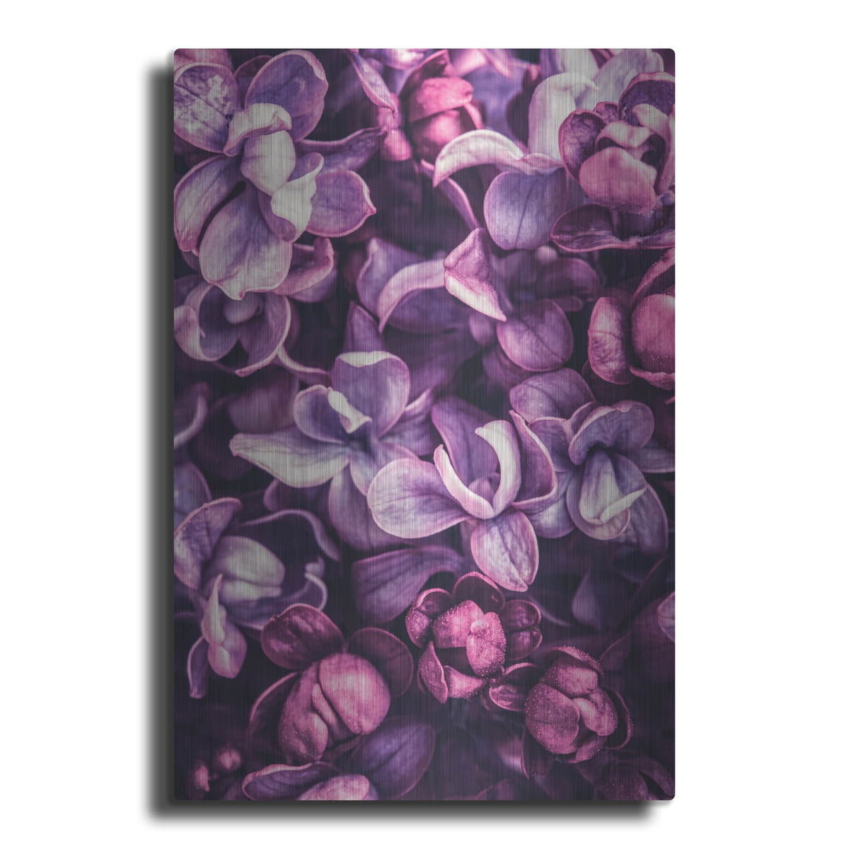 'Shades Of Purple' by Incado – Metal Wall Art