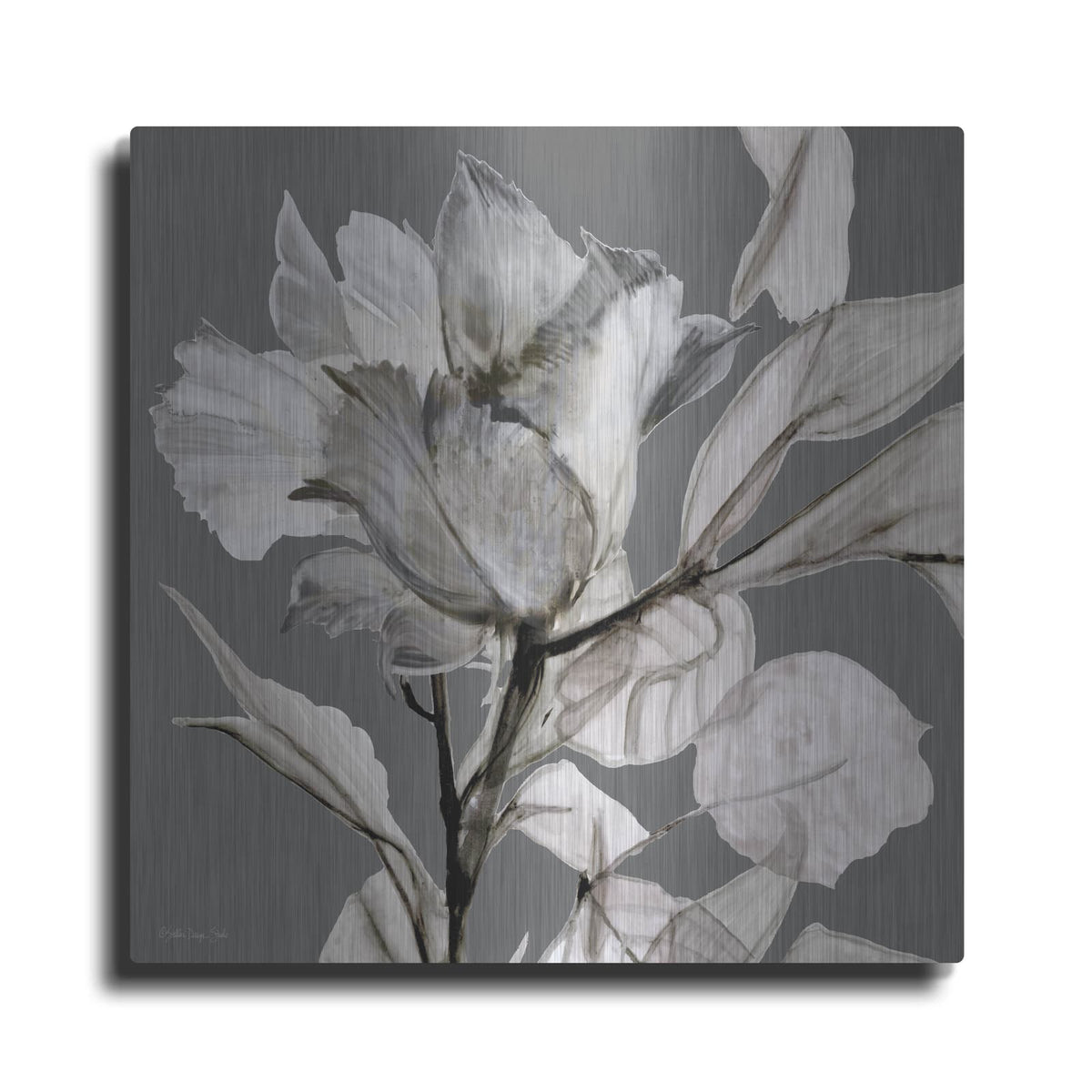 'Floral in Gray 2' by Stellar Design Studio – Metal Wall Art
