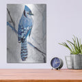 'Blue Jay 1' by Stellar Design Studio – Metal Wall Art, 12x16 room view