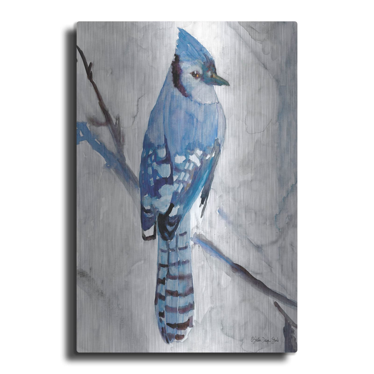'Blue Jay 1' by Stellar Design Studio – Metal Wall Art
