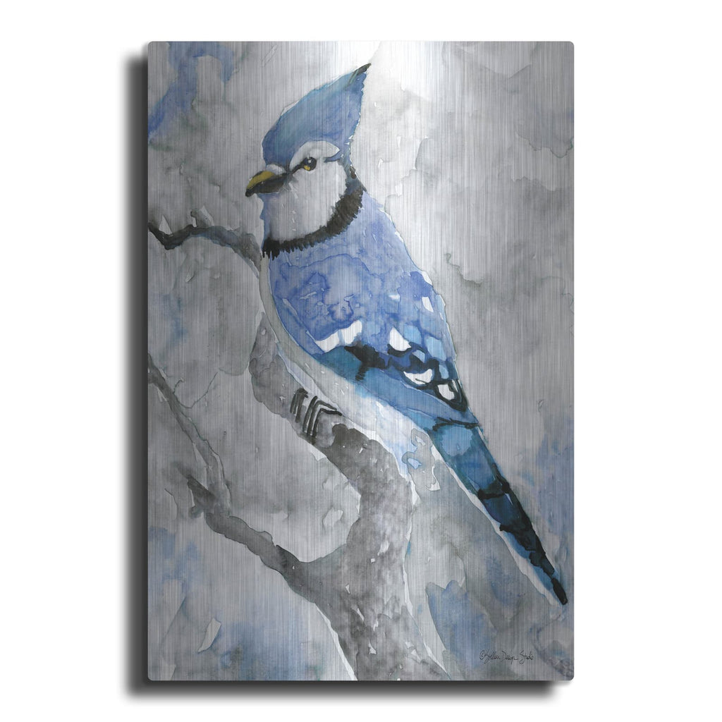 'Blue Jay 2' by Stellar Design Studio – Metal Wall Art