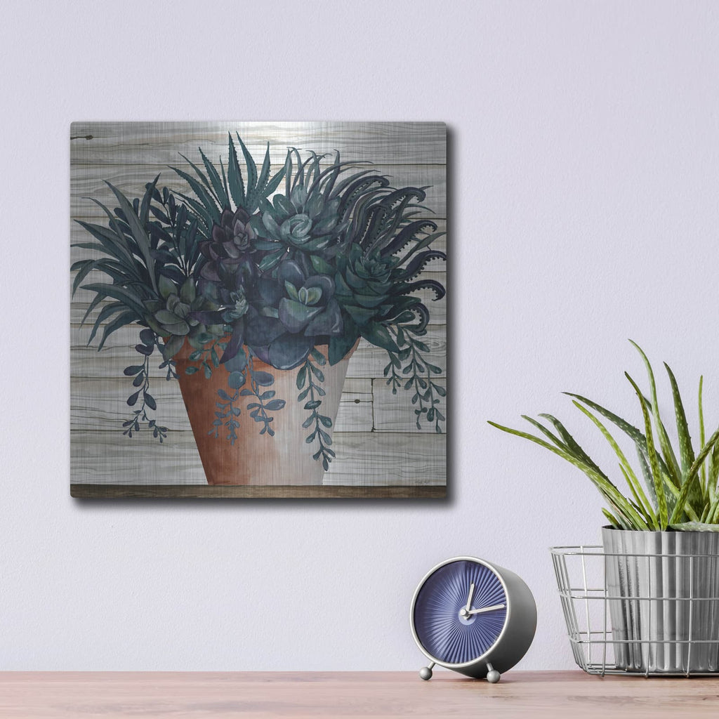 'Remarkable Succulents I' by Cindy Jacobs – Metal Wall Art, 12x12 room view