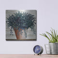 'Remarkable Succulents I' by Cindy Jacobs – Metal Wall Art, 12x12 room view