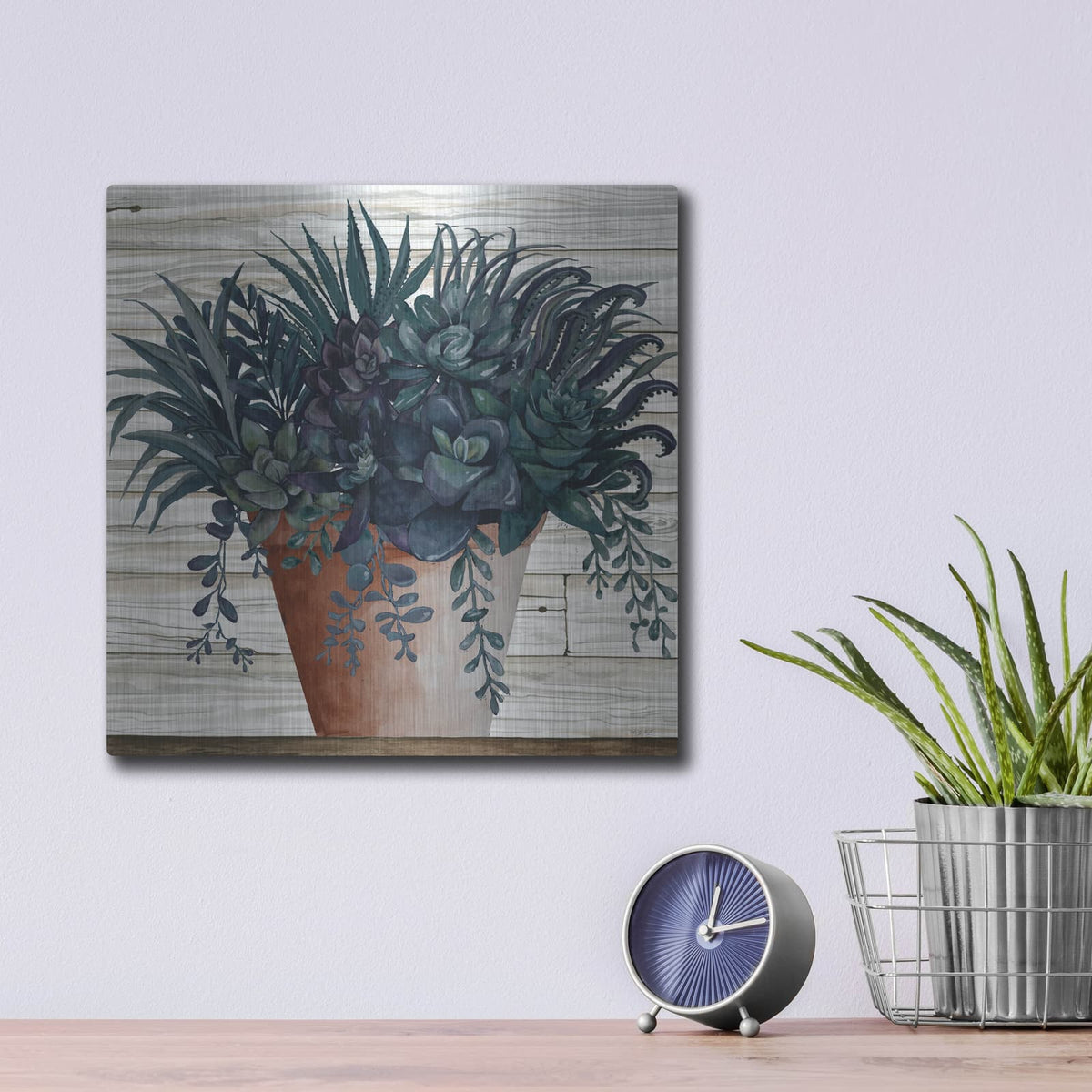 'Remarkable Succulents I' by Cindy Jacobs – Metal Wall Art, 12x12 room view