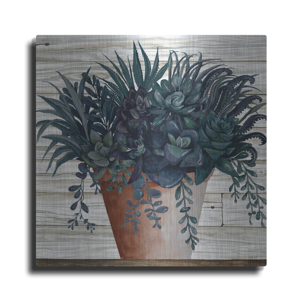 'Remarkable Succulents I' by Cindy Jacobs – Metal Wall Art