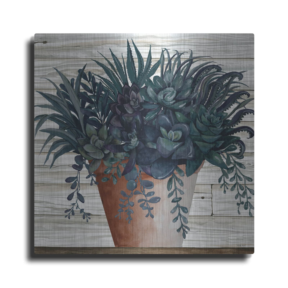 'Remarkable Succulents I' by Cindy Jacobs – Metal Wall Art