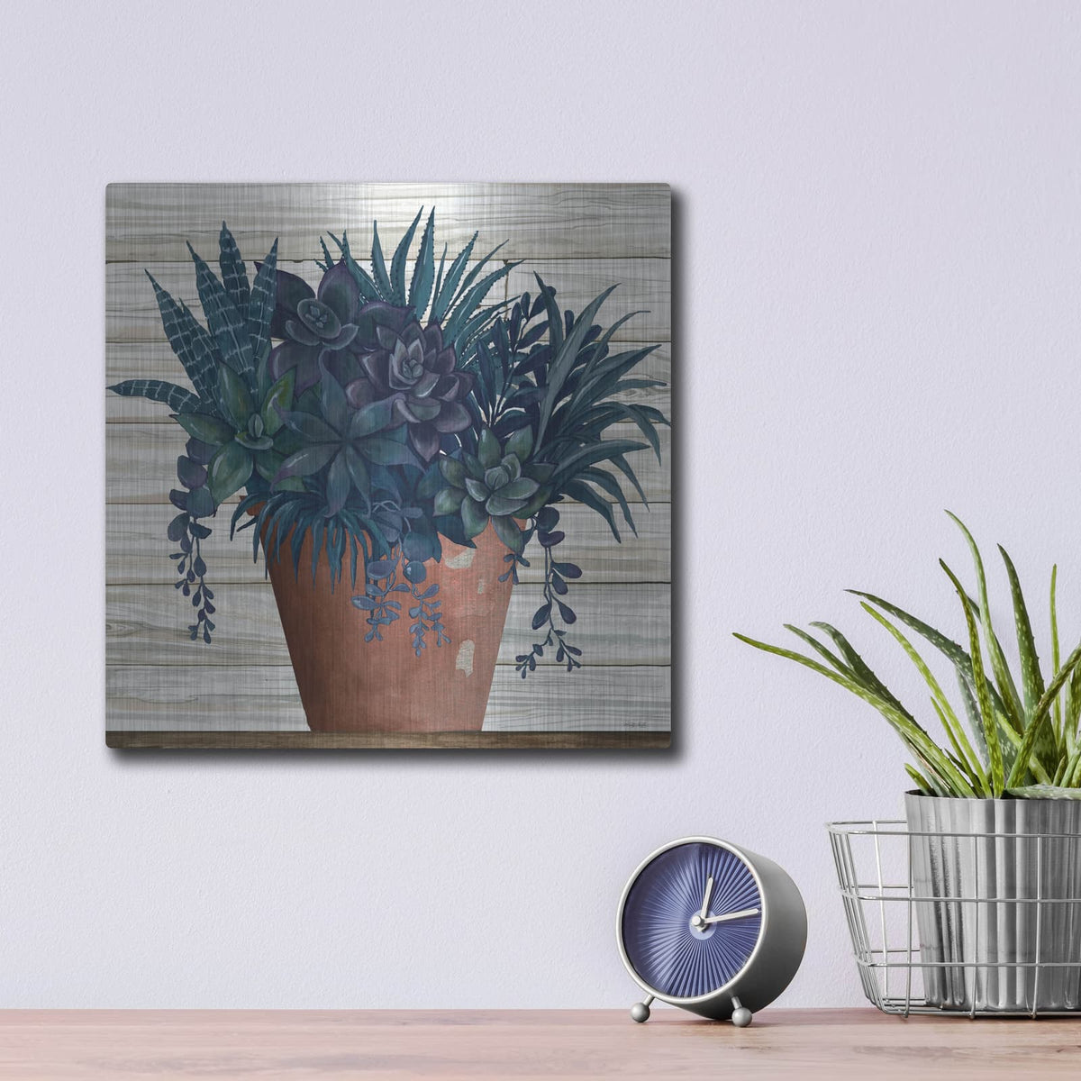 'Remarkable Succulents II' by Cindy Jacobs – Metal Wall Art, 12x12 room view