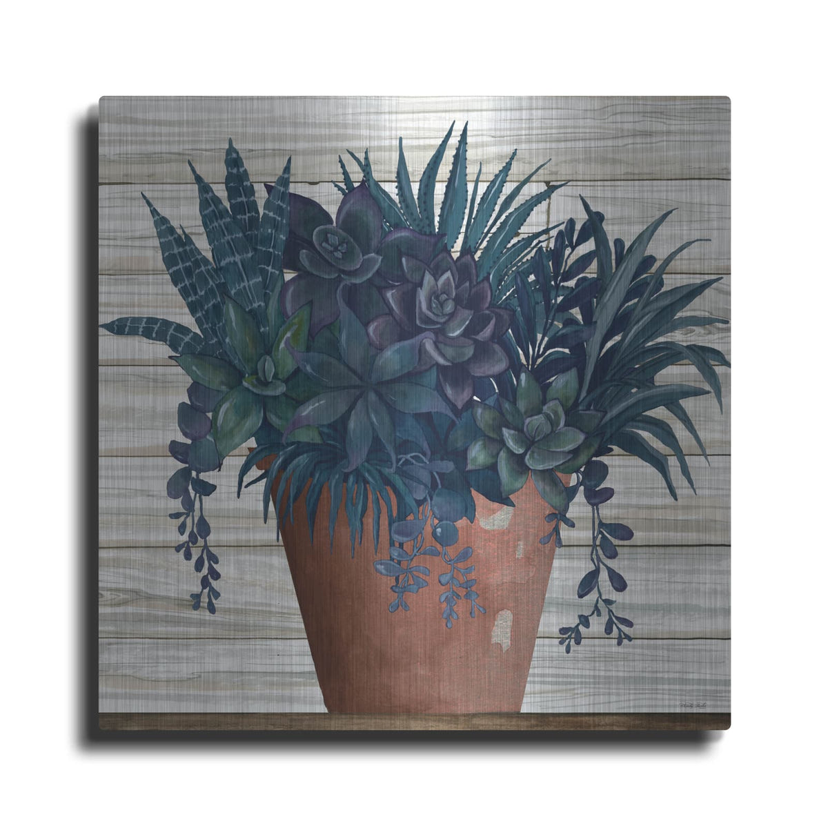 'Remarkable Succulents II' by Cindy Jacobs – Metal Wall Art