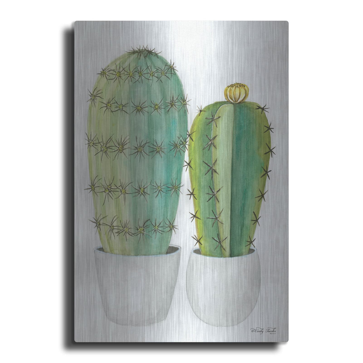 'Cactus Love' by Cindy Jacobs – Metal Wall Art