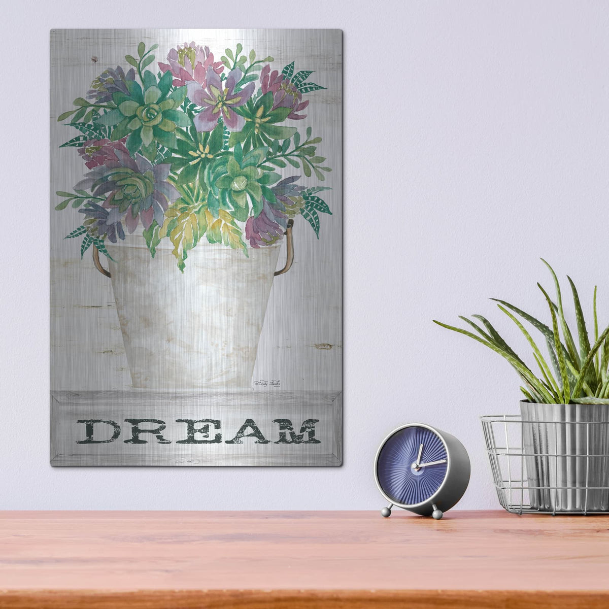 'Dream Succulents' by Cindy Jacobs – Metal Wall Art, 12x16 room view