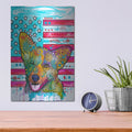 'All American Corgi' by Dean Russo – Metal Wall Art, 12x16 room view
