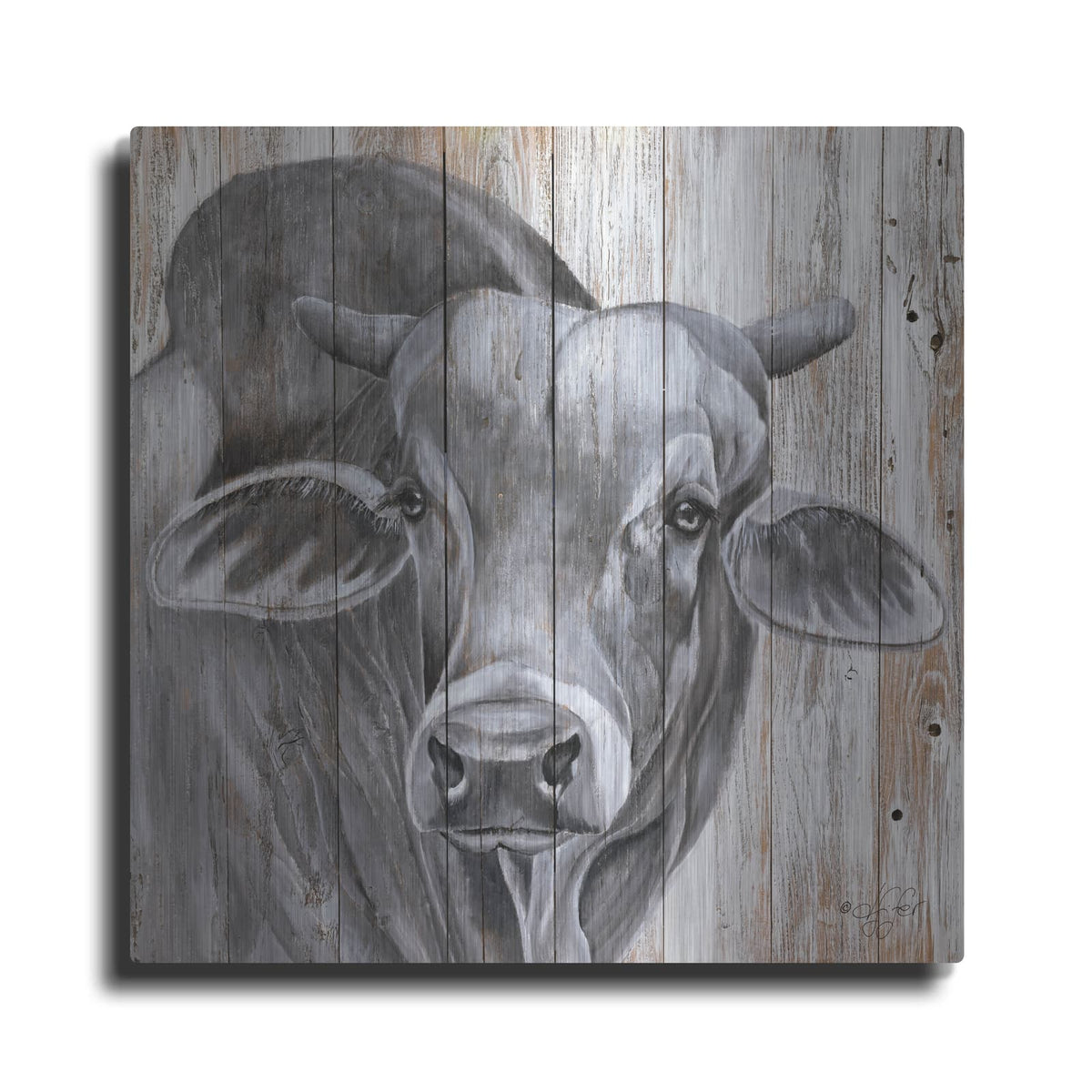 'Eyes Wide Open' by Diane Fifer – Metal Wall Art
