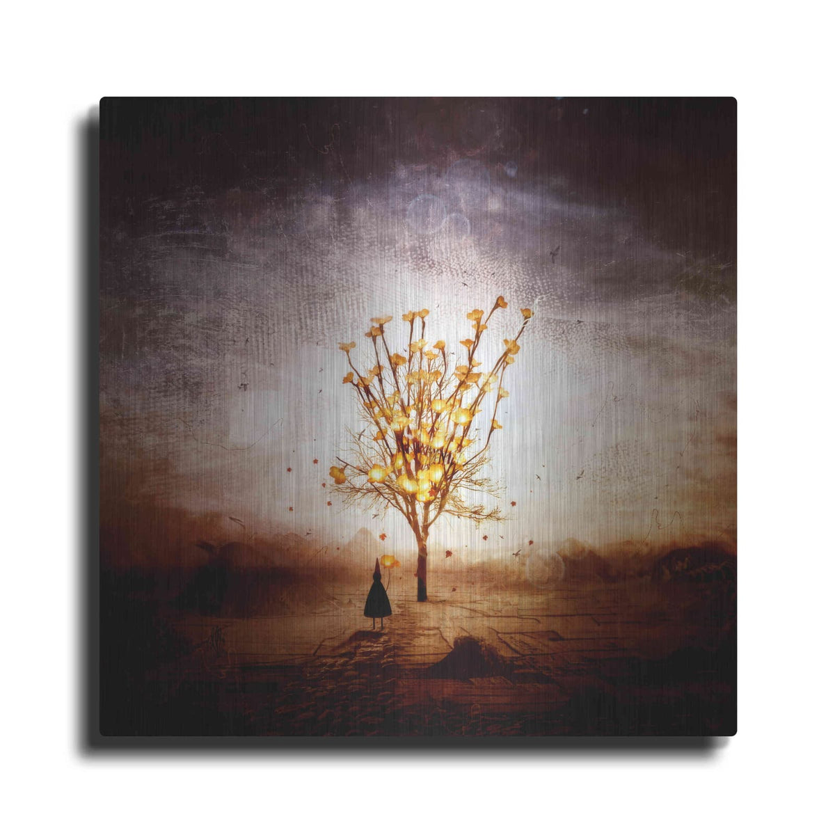 'Finding' by Mario Sanchez Nevado – Metal Wall Art