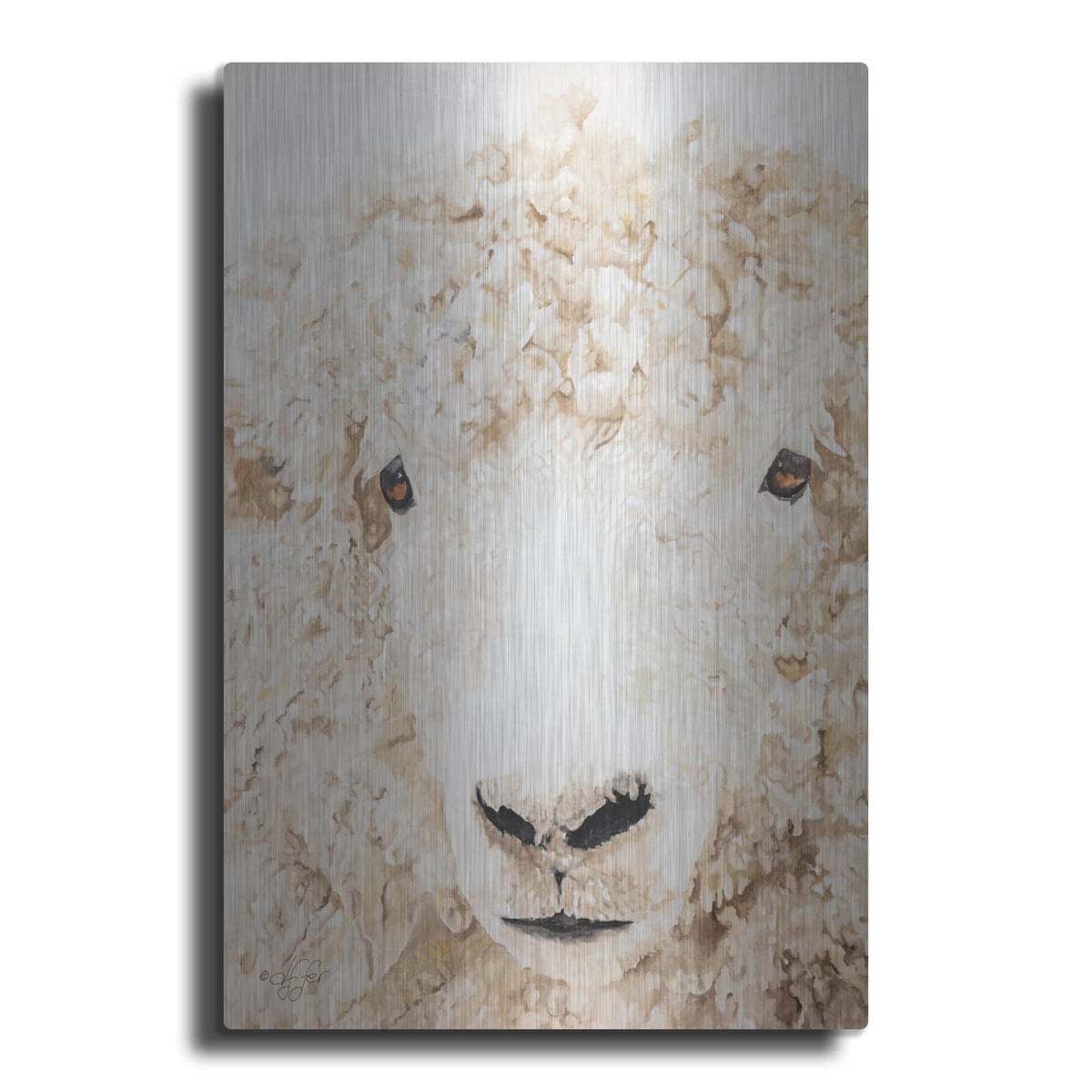 'Woolly' by Diane Fifer – Metal Wall Art