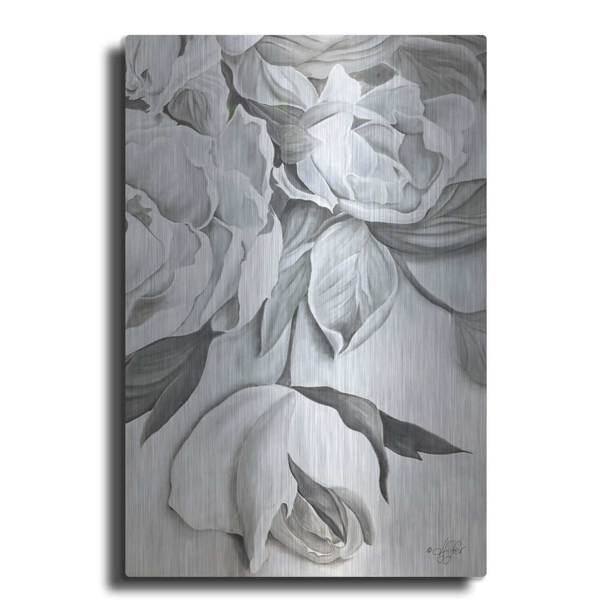 'Rosie' by Diane Fifer – Metal Wall Art