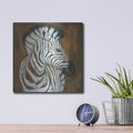 'Serengeti Rock Star' by Britt Hallowell – Metal Wall Art, 12x12 room view