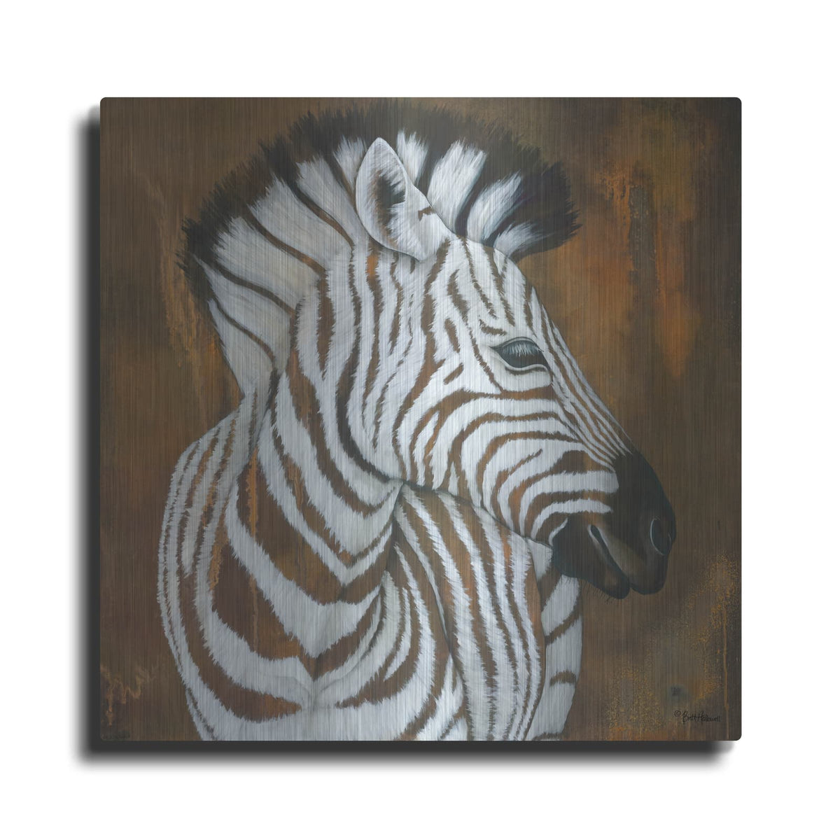 'Serengeti Rock Star' by Britt Hallowell – Metal Wall Art