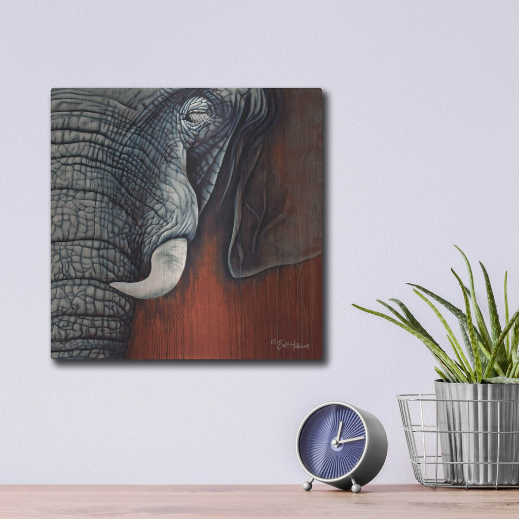 'Revering Tembo' by Britt Hallowell – Metal Wall Art, 12x12 room view