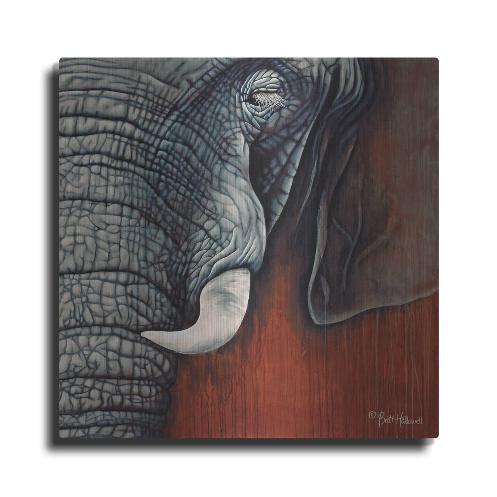 'Revering Tembo' by Britt Hallowell – Metal Wall Art