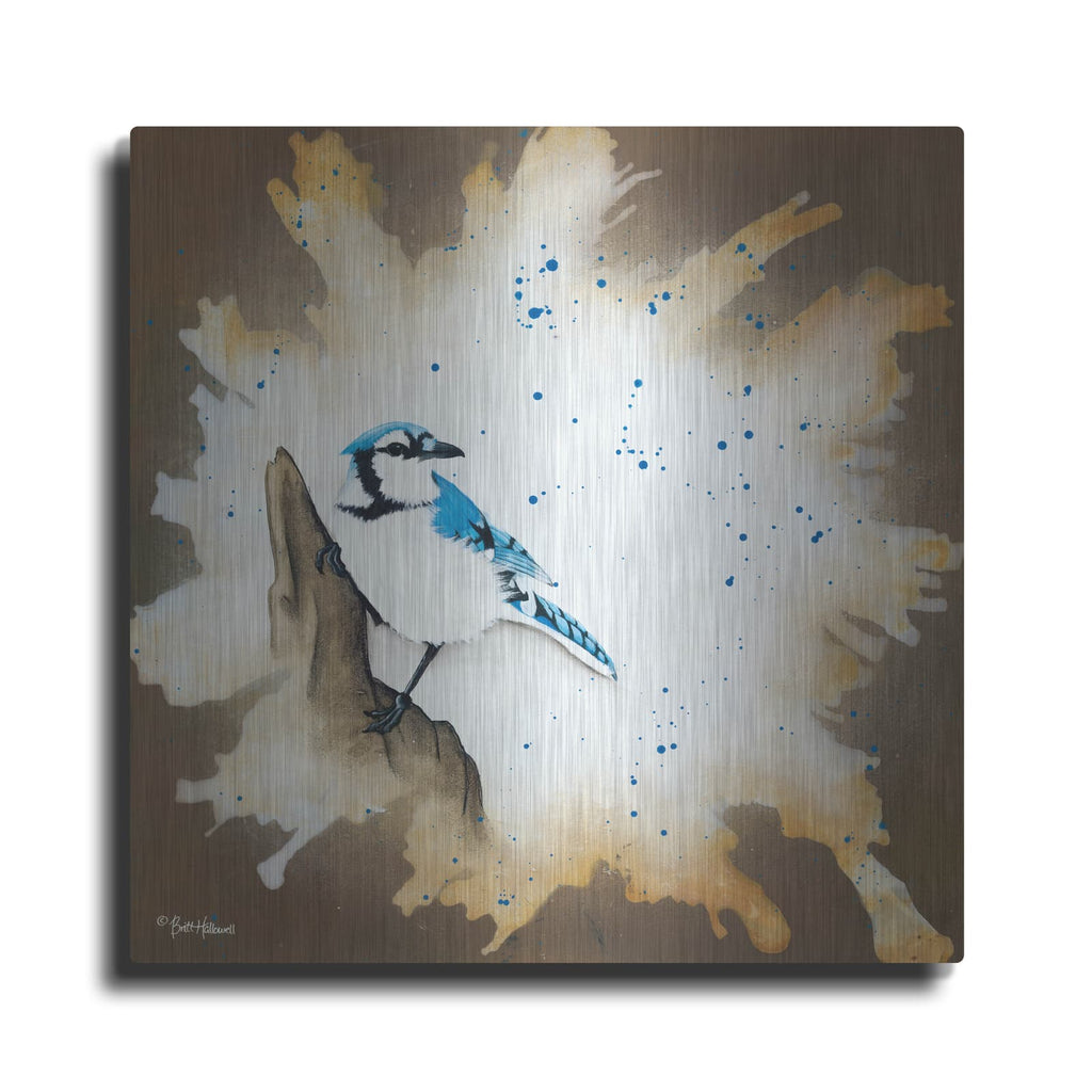 'Weathered Friends - Blue Jay' by Britt Hallowell – Metal Wall Art