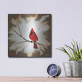 'Weathered Friends - Cardinal' by Britt Hallowell – Metal Wall Art, 12x12 room view