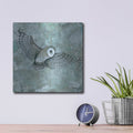 'Simplicity Owl' by Britt Hallowell – Metal Wall Art, 12x12 room view