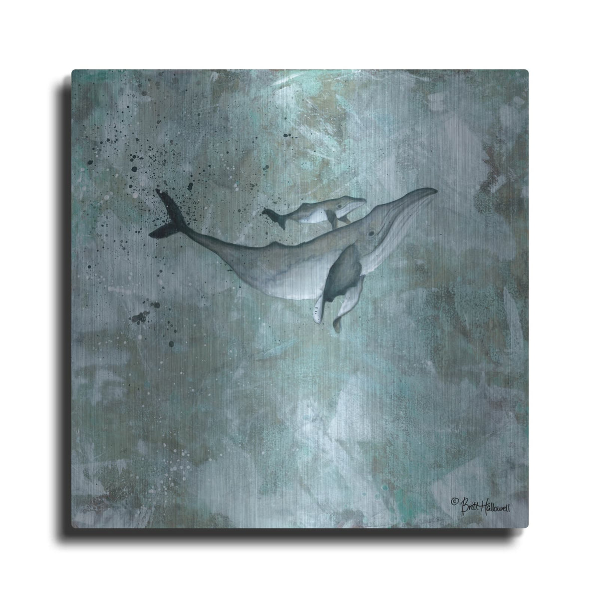'Simplicity Humpback' by Britt Hallowell – Metal Wall Art