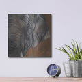'The Gentlest Giant' by Britt Hallowell – Metal Wall Art, 12x12 room view
