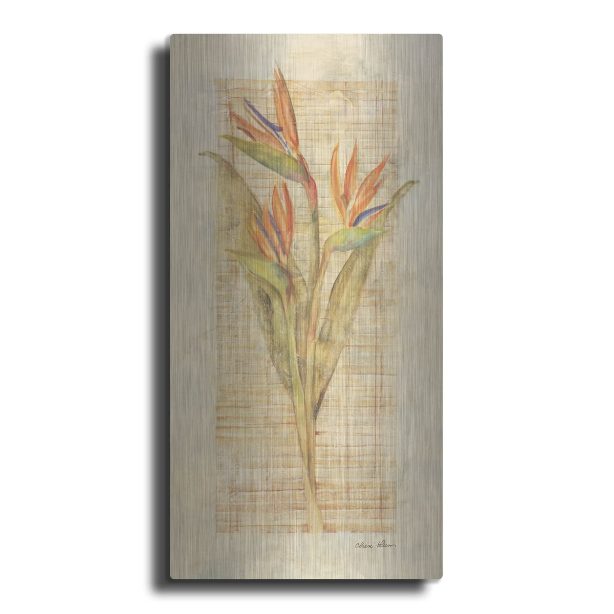 'Bird Of Paradise' by Cheri Blum – Metal Wall Art