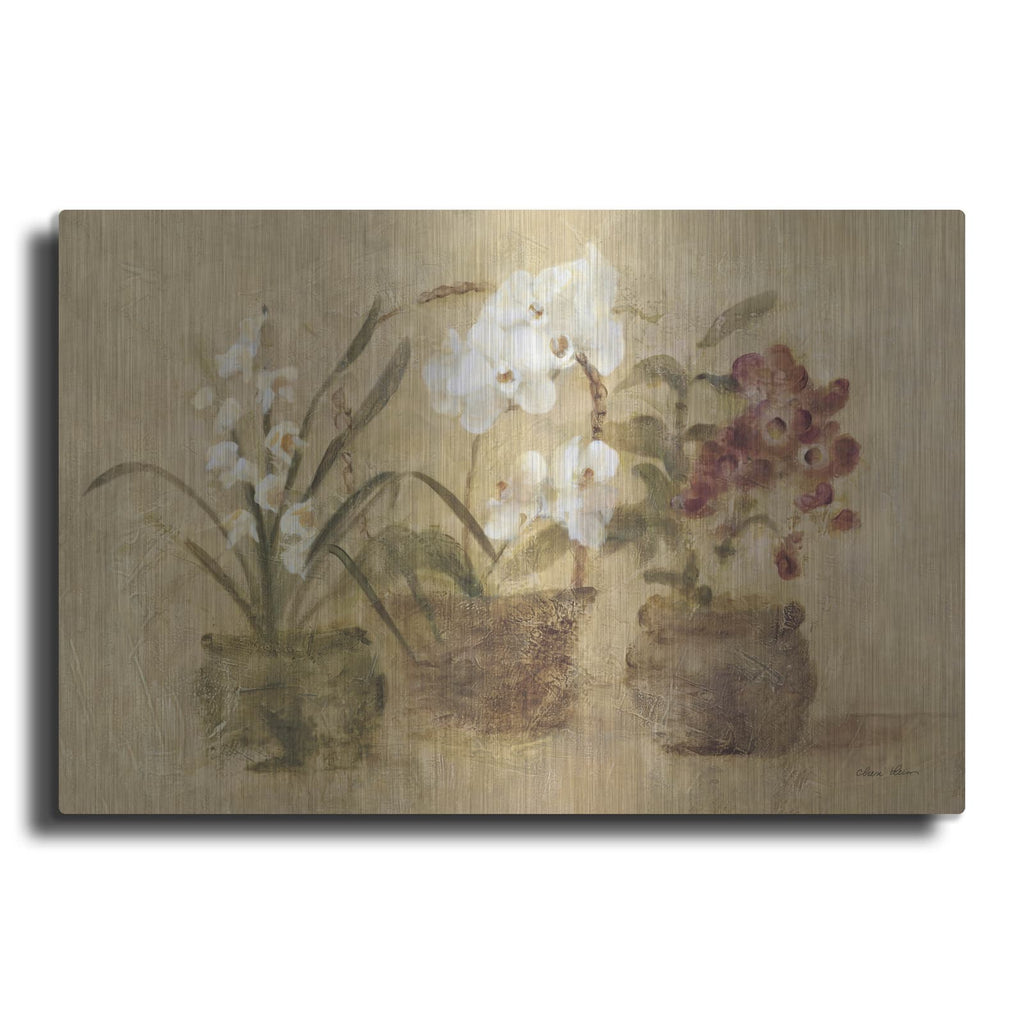 'Collection Of Orchids' by Cheri Blum – Metal Wall Art