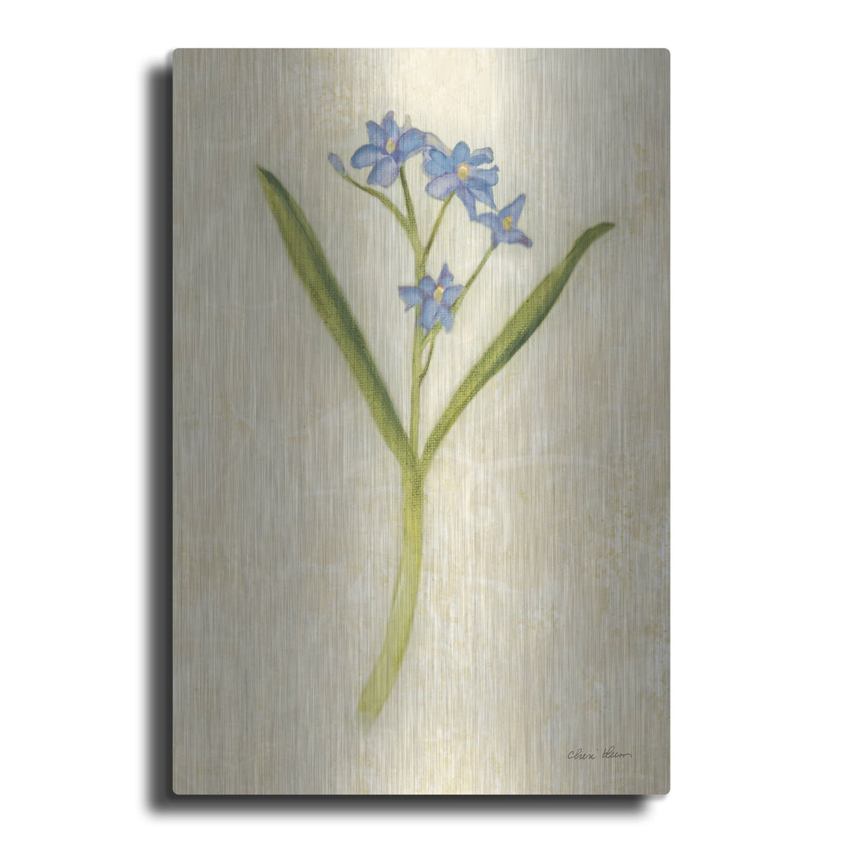 'Forget Me Not Stem' by Cheri Blum – Metal Wall Art