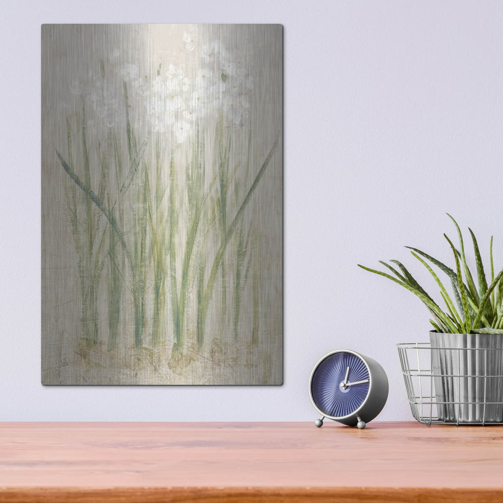 'Narcissus Light' by Cheri Blum – Metal Wall Art, 12x16 room view