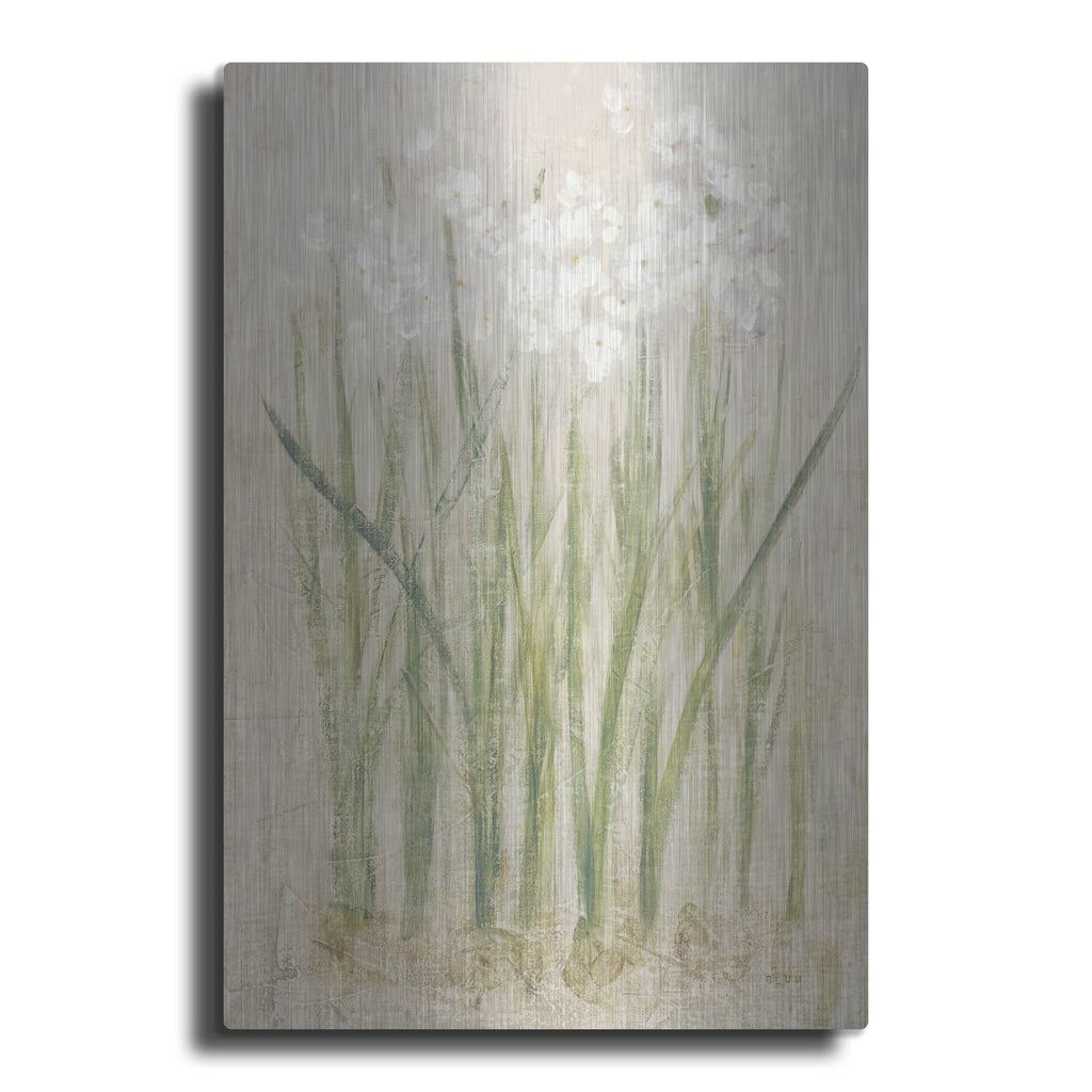 'Narcissus Light' by Cheri Blum – Metal Wall Art
