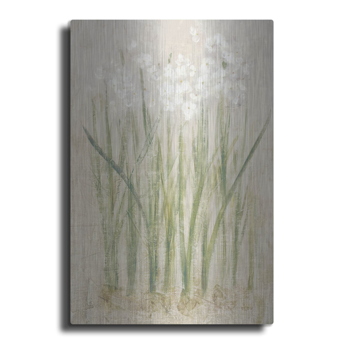 'Narcissus Light' by Cheri Blum – Metal Wall Art