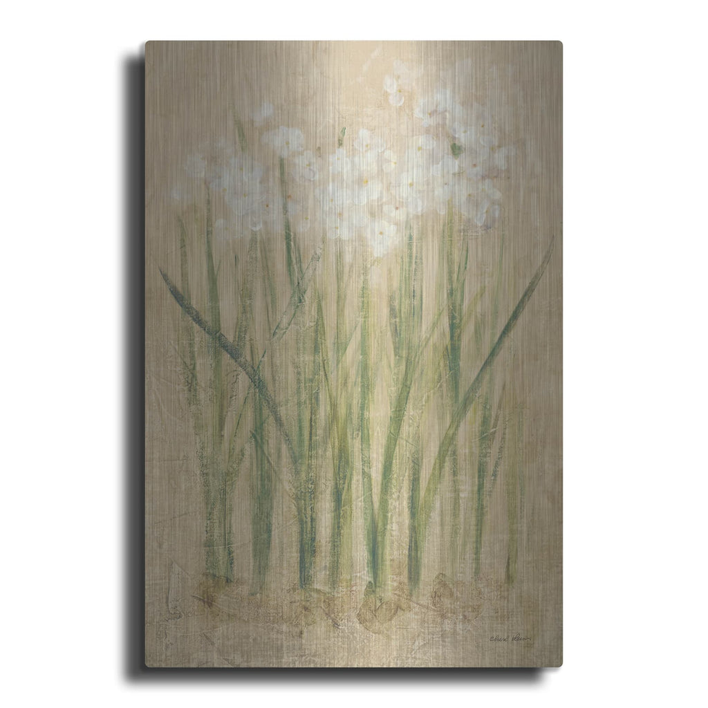 'Narcissus' by Cheri Blum – Metal Wall Art