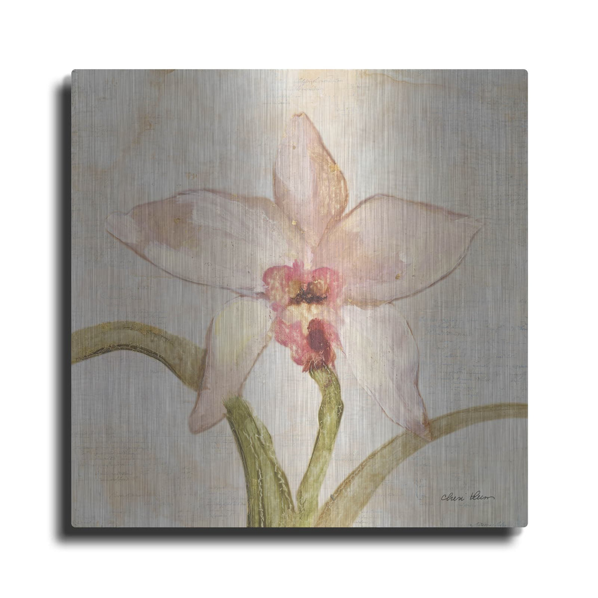 'Orchid 1' by Cheri Blum – Metal Wall Art