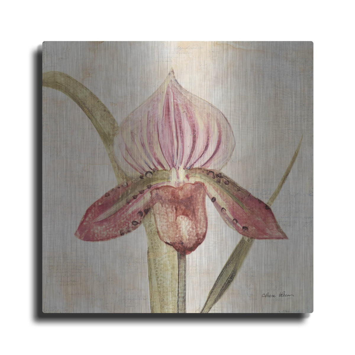 'Orchid 3' by Cheri Blum – Metal Wall Art