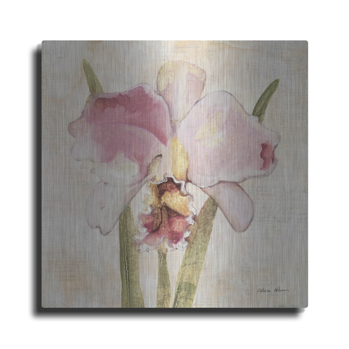 'Orchid 6' by Cheri Blum – Metal Wall Art