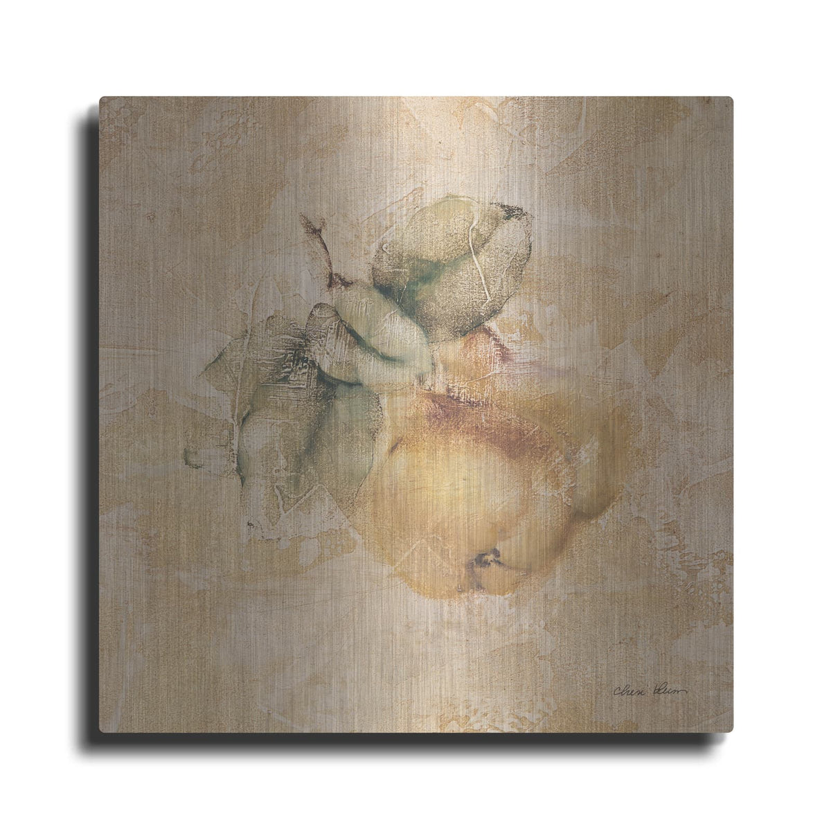 'Pears Square' by Cheri Blum – Metal Wall Art