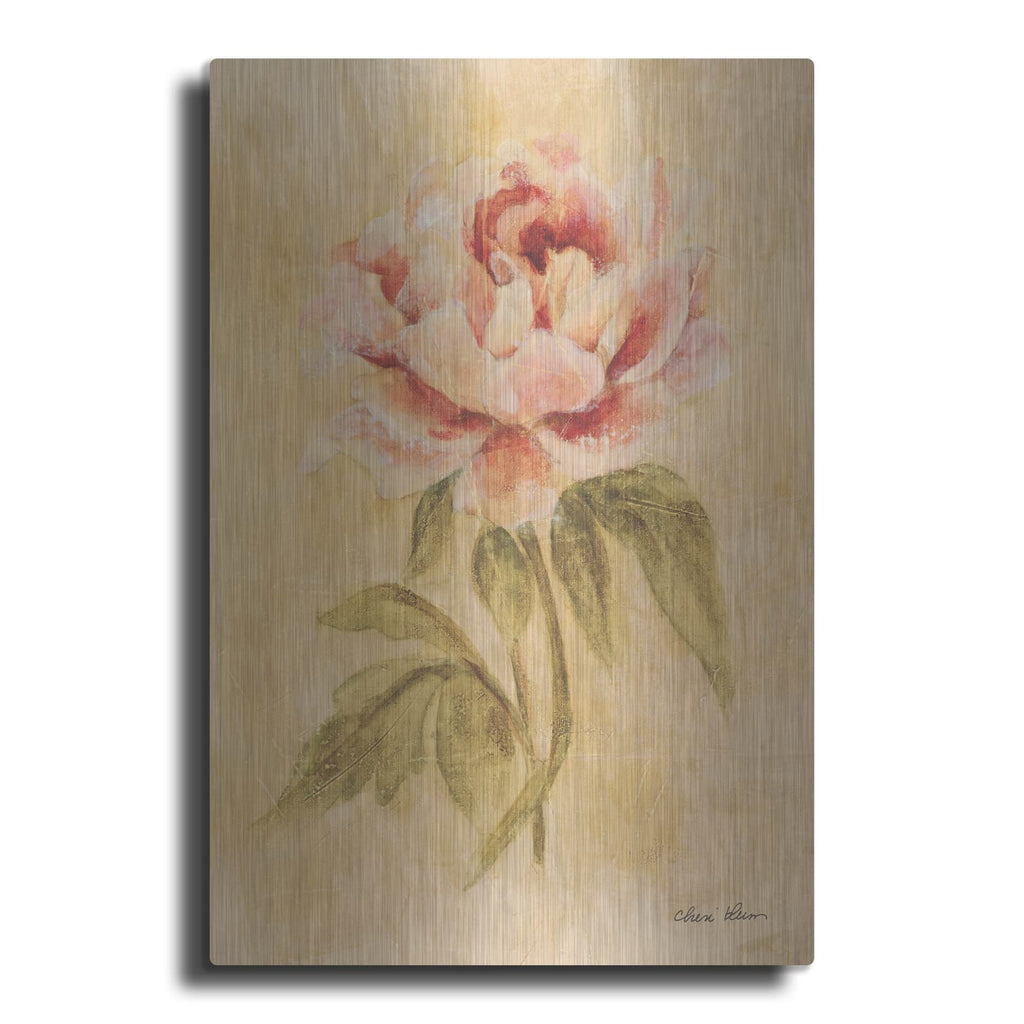 'Peony 1' by Cheri Blum – Metal Wall Art