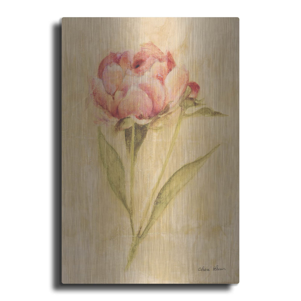 'Peony 2' by Cheri Blum – Metal Wall Art