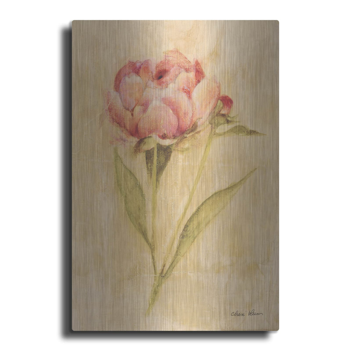 'Peony 2' by Cheri Blum – Metal Wall Art