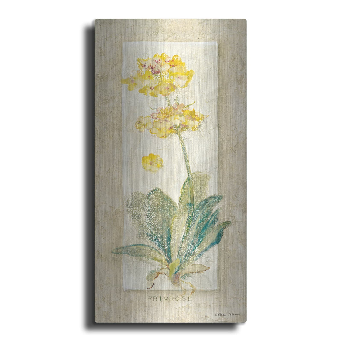 'Primrose Light' by Cheri Blum – Metal Wall Art