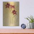 'Red Day Lily' by Cheri Blum – Metal Wall Art, 12x16 room view
