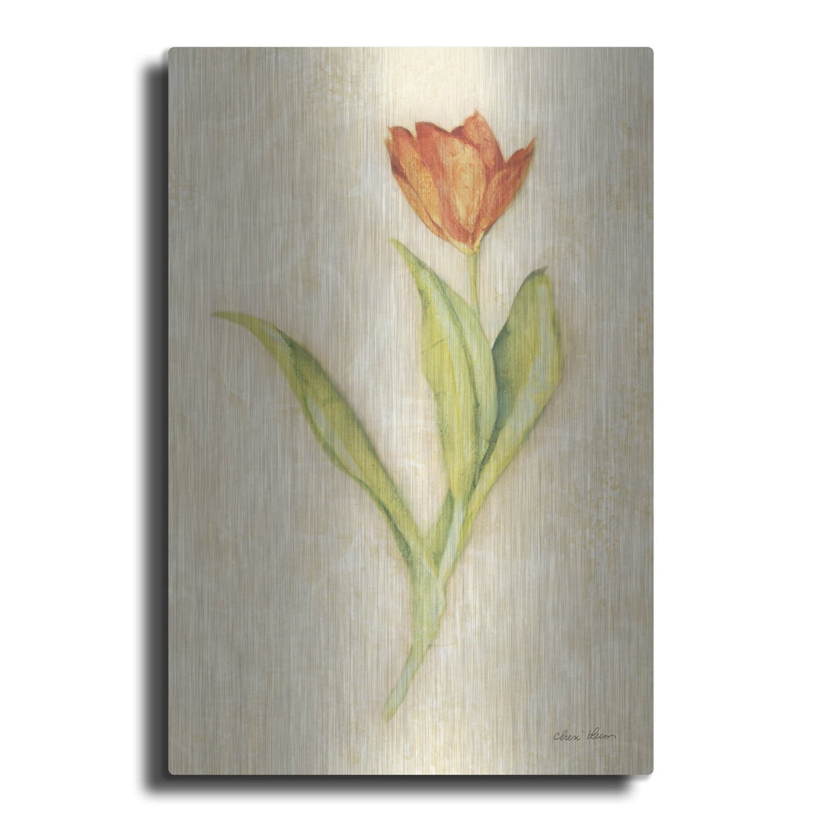 'Red Tulip Stem' by Cheri Blum – Metal Wall Art