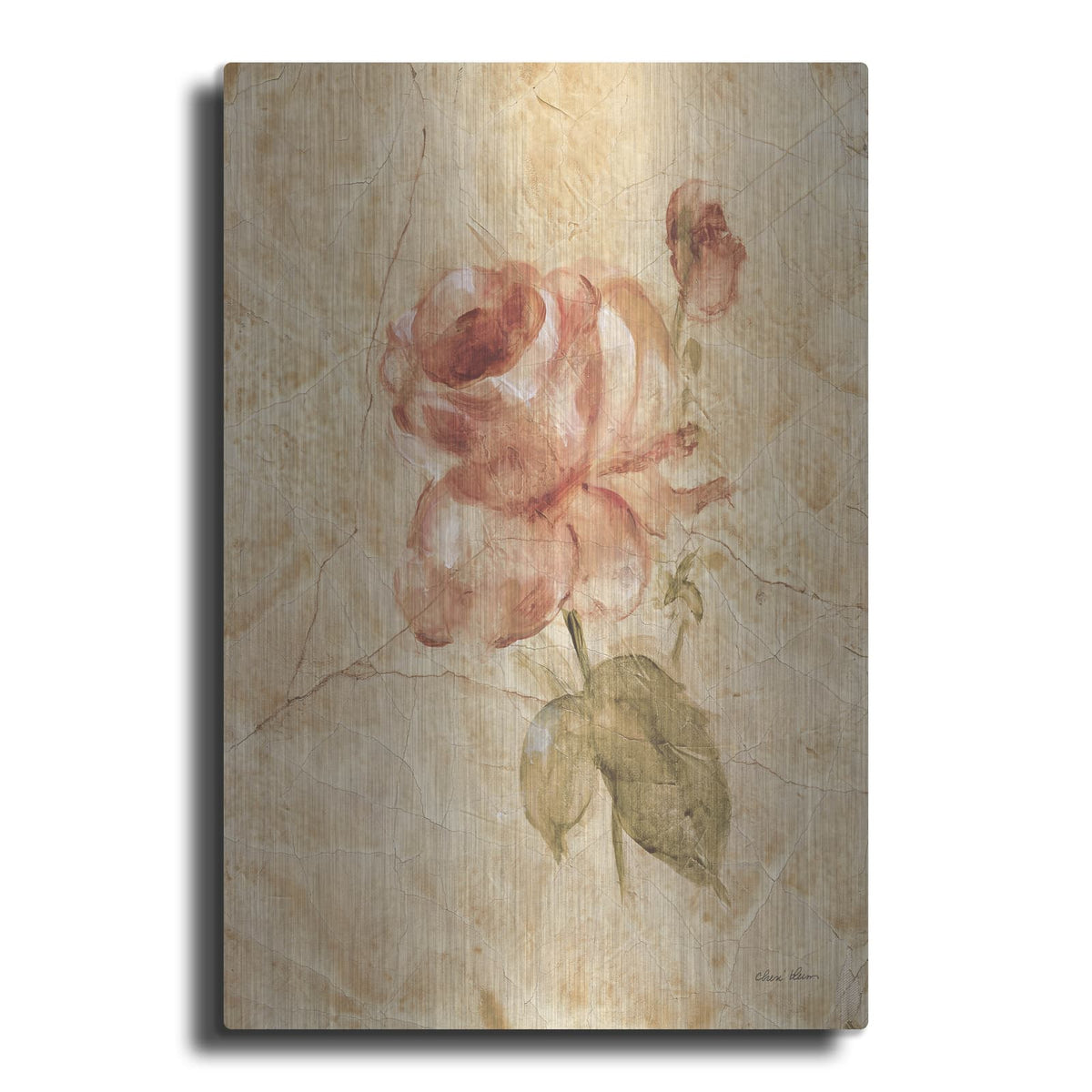 'Rose On Cracked Linen' by Cheri Blum – Metal Wall Art