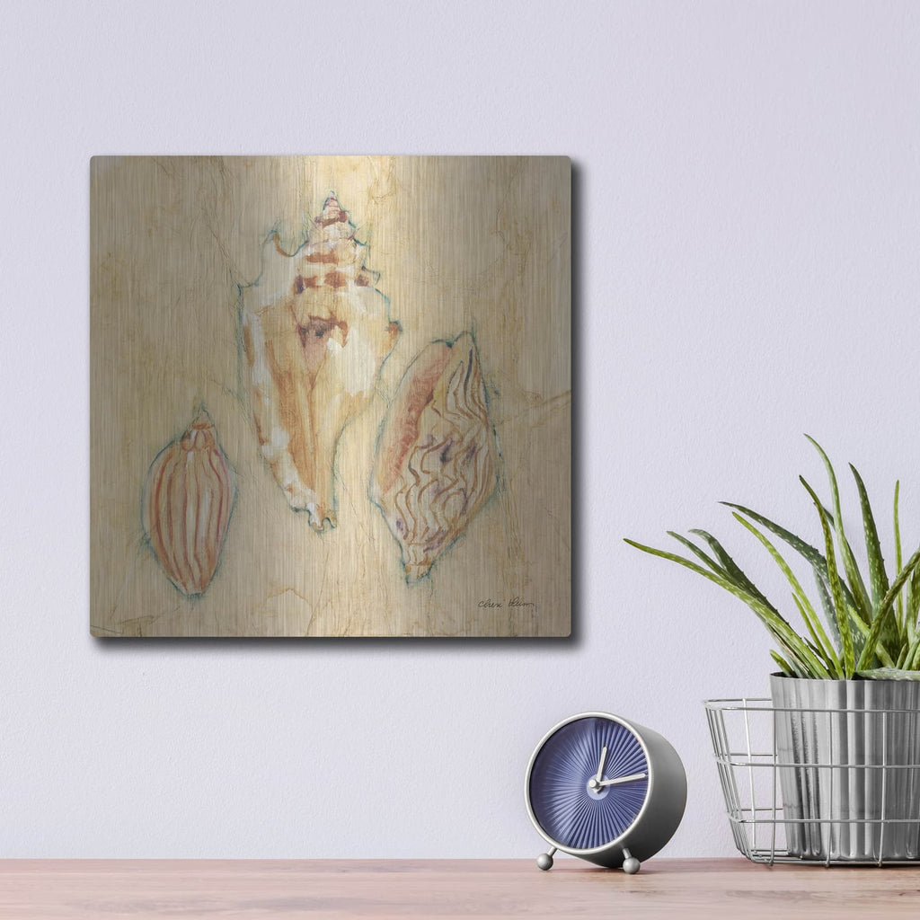 'Shells 1' by Cheri Blum – Metal Wall Art, 12x12 room view