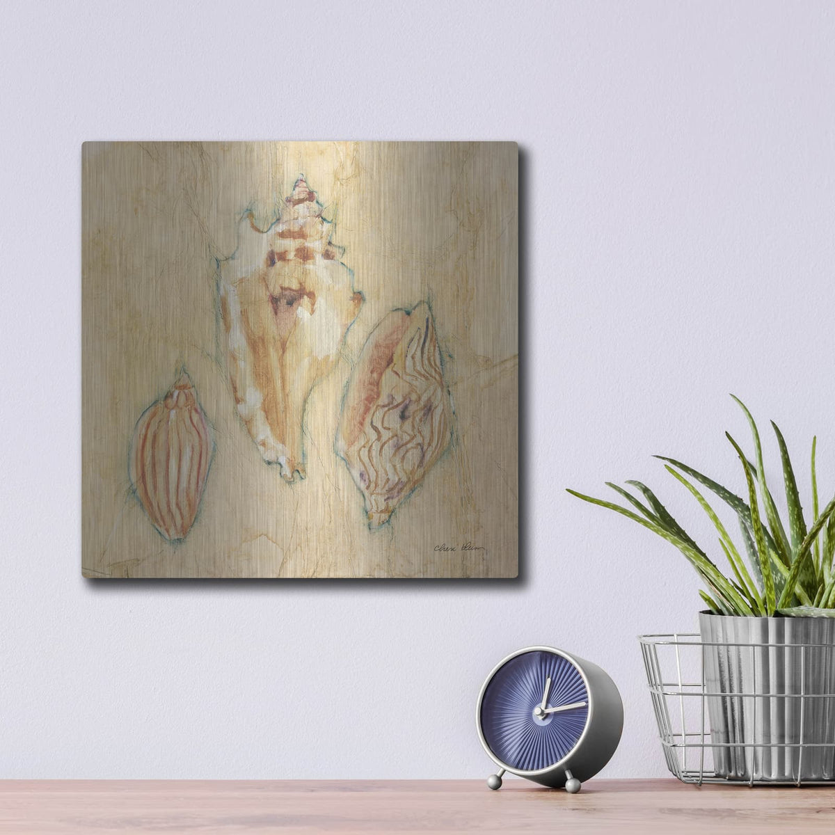 'Shells 1' by Cheri Blum – Metal Wall Art, 12x12 room view