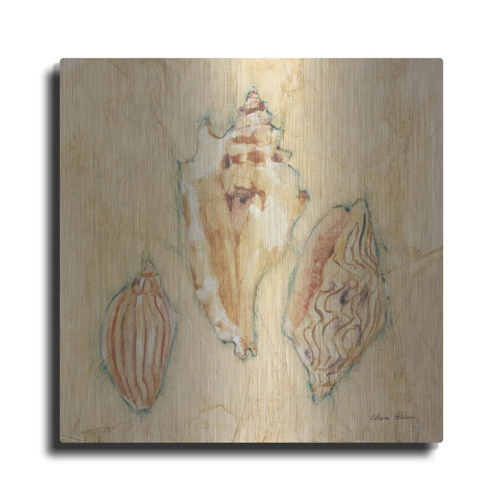 'Shells 1' by Cheri Blum – Metal Wall Art