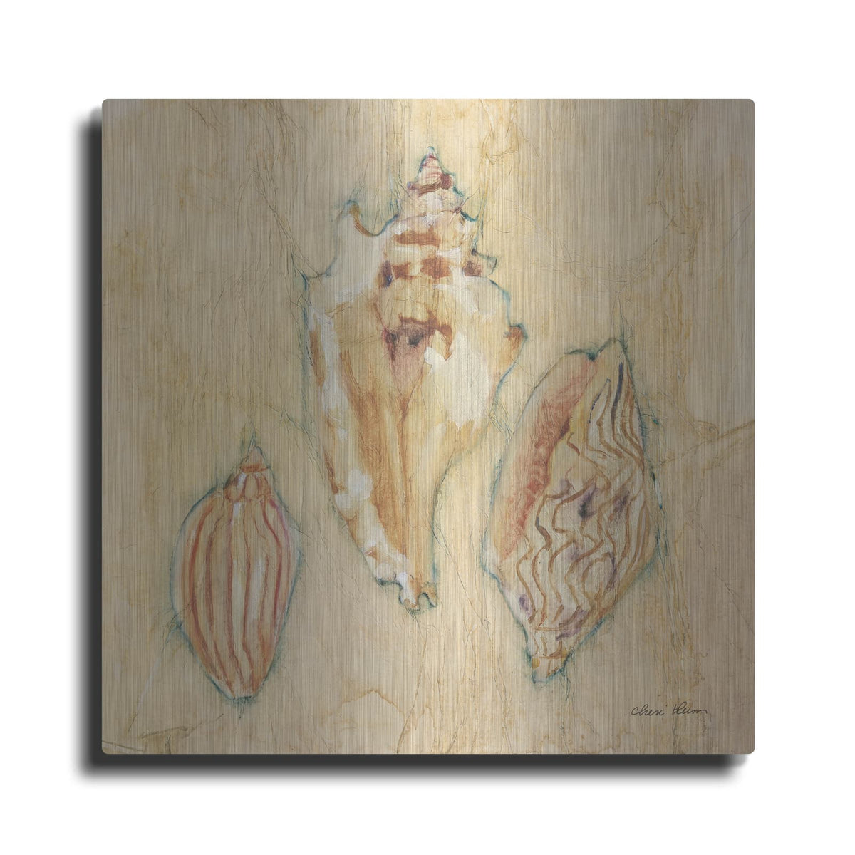 'Shells 1' by Cheri Blum – Metal Wall Art